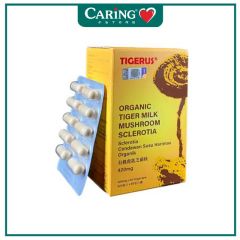 TIGERUS ORGANIC TIGER MILK MUSHROO SCLEROTIA 420MG 60S