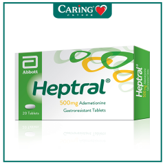 HEPTRAL 500MG TAB 20S